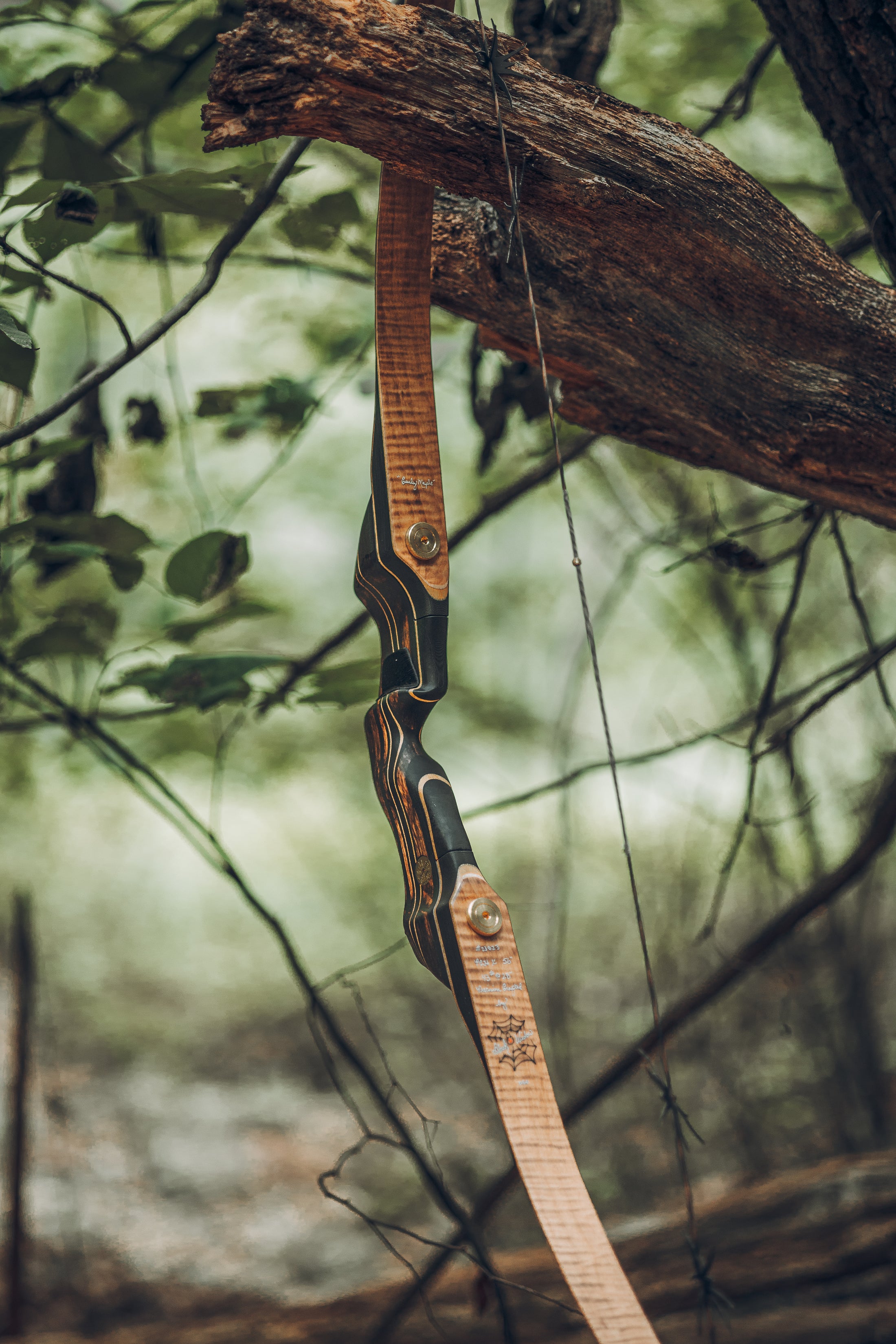 Collections Black Widow Bows