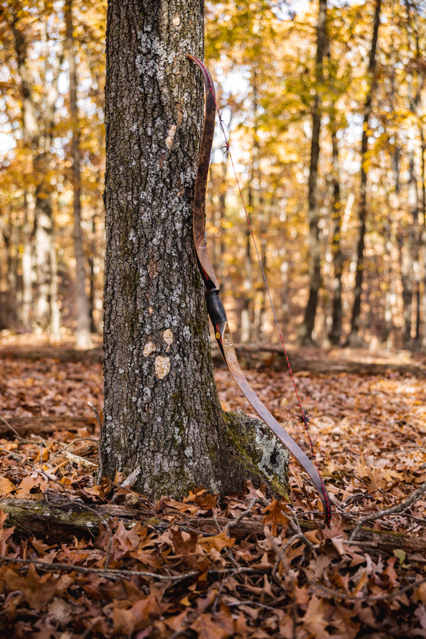 Collections Black Widow Bows