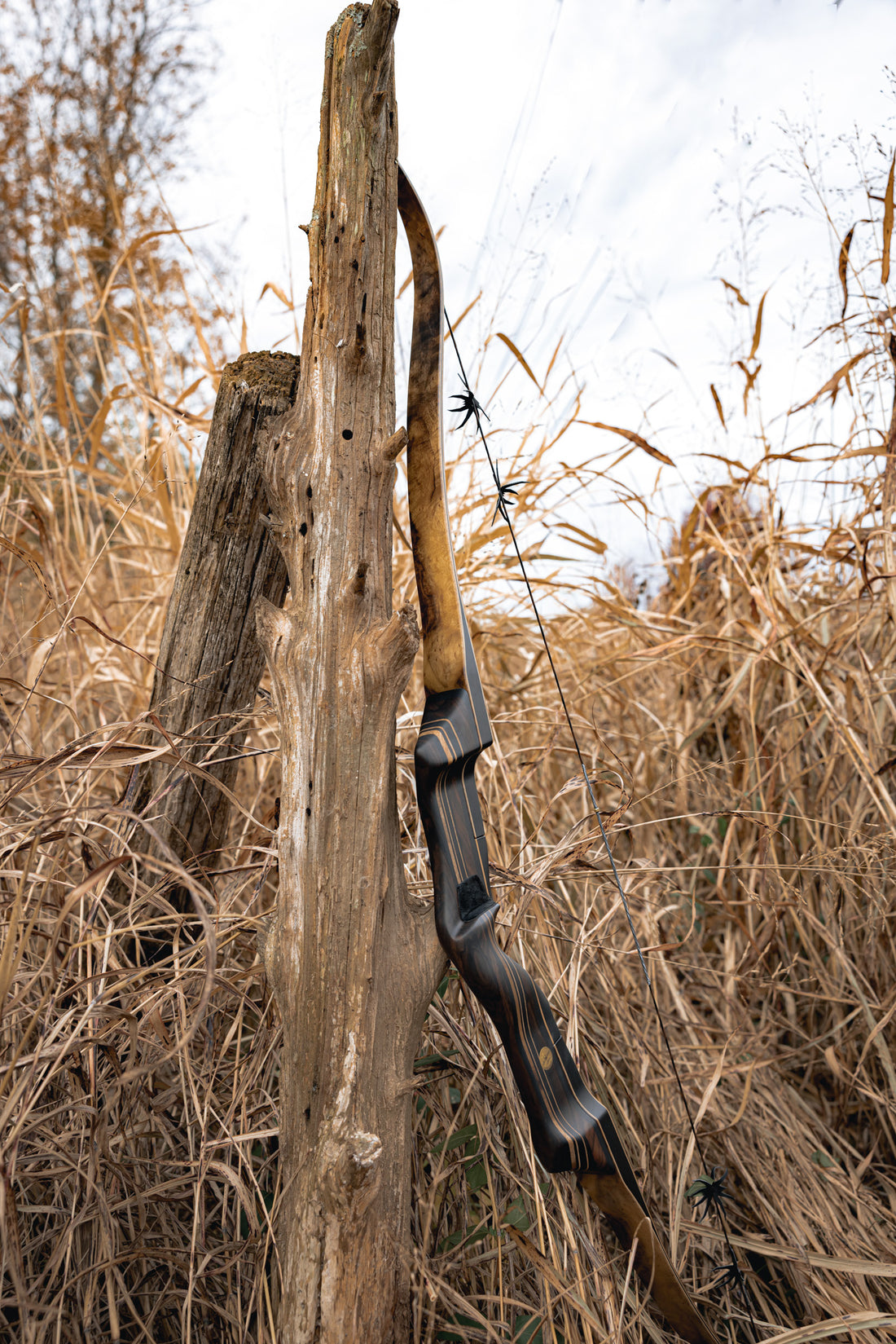 Collections Black Widow Bows