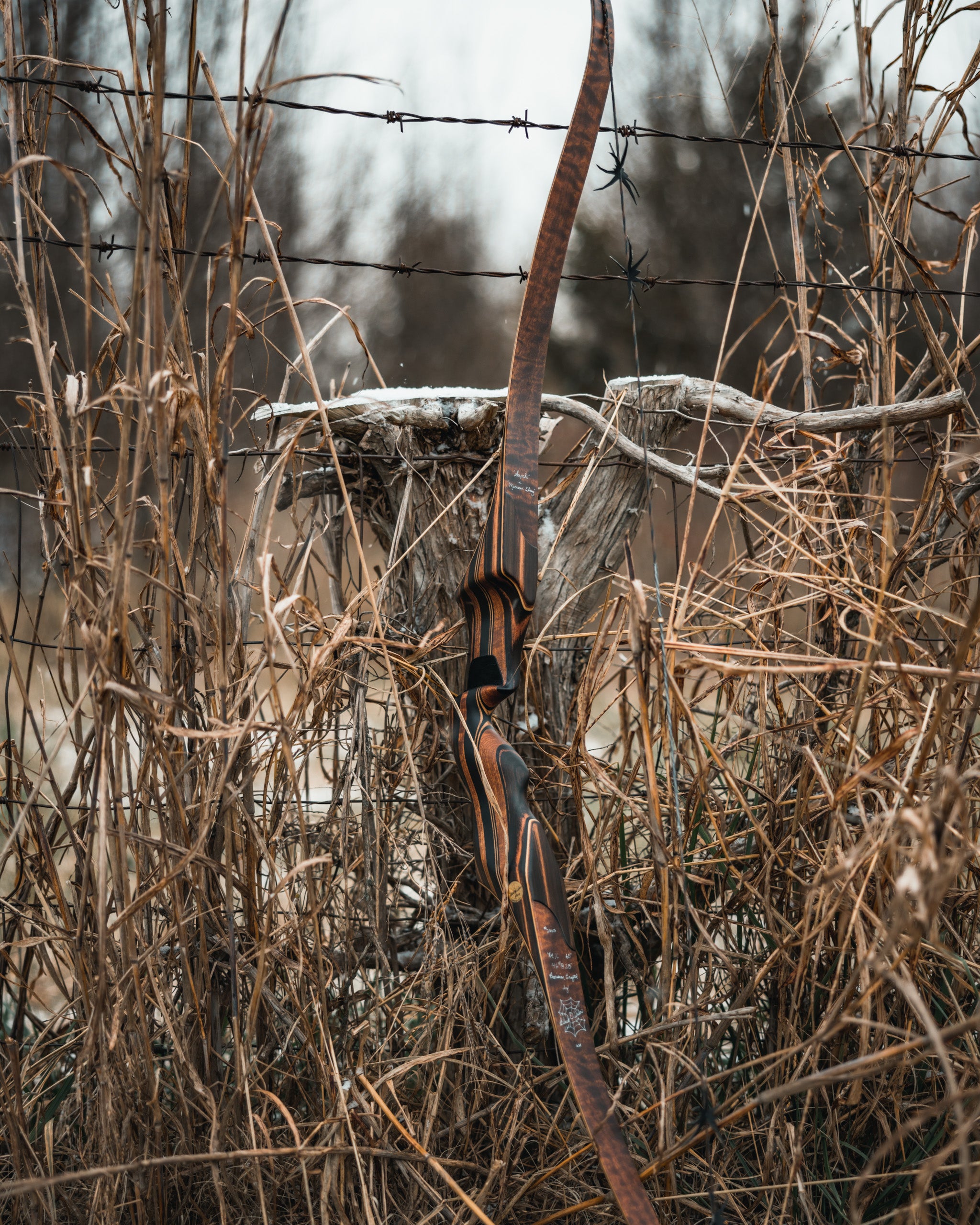 Collections Black Widow Bows