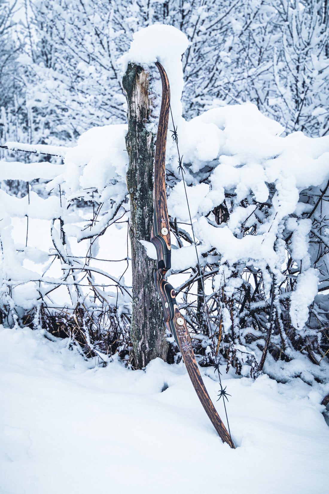 Collections Black Widow Bows
