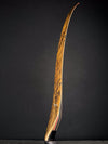 {26920} LEFT HANDED PL X 64" 42@28