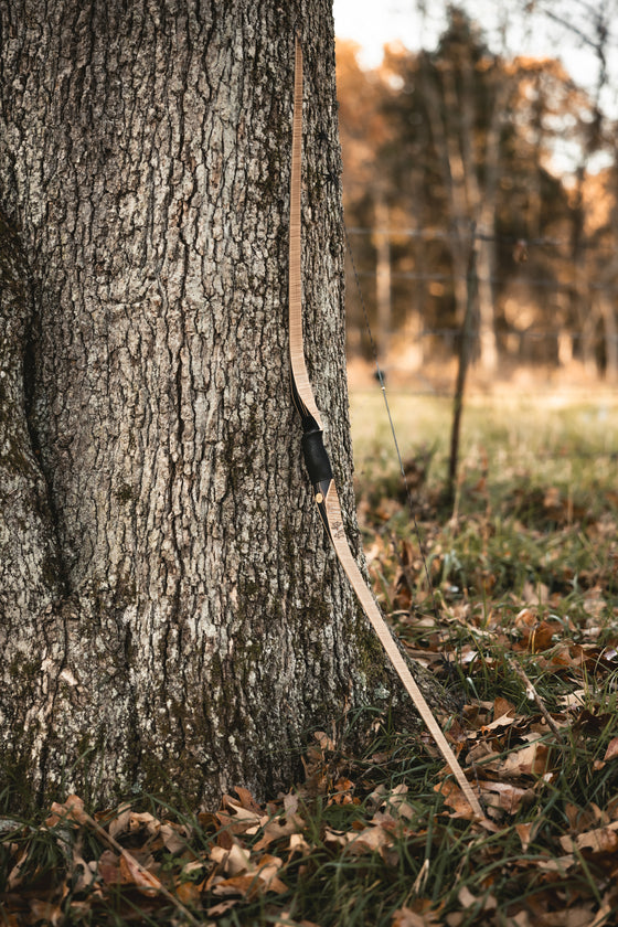 PL Custom Bows – Black Widow Bows