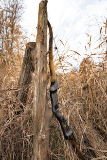  PMA Custom Bows