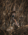 PA Custom Bows