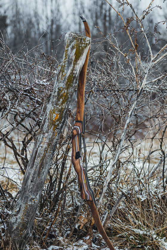 PMA Custom Bows