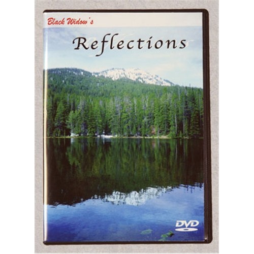 #919 Traditional Reflections DVD